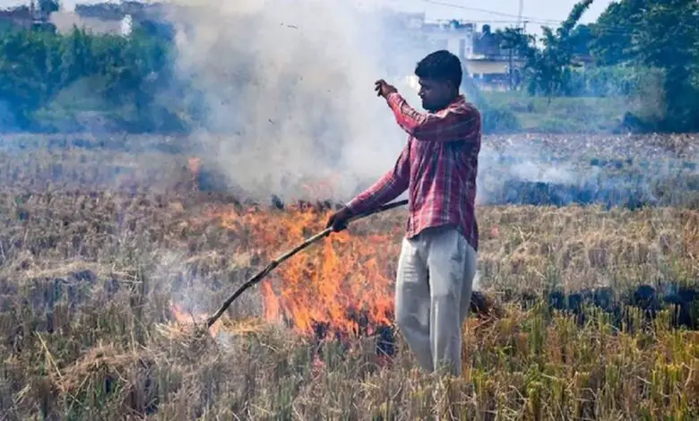 पराली जलाने में सबसे आगे एमपी (सांकेतिक तस्वीर)