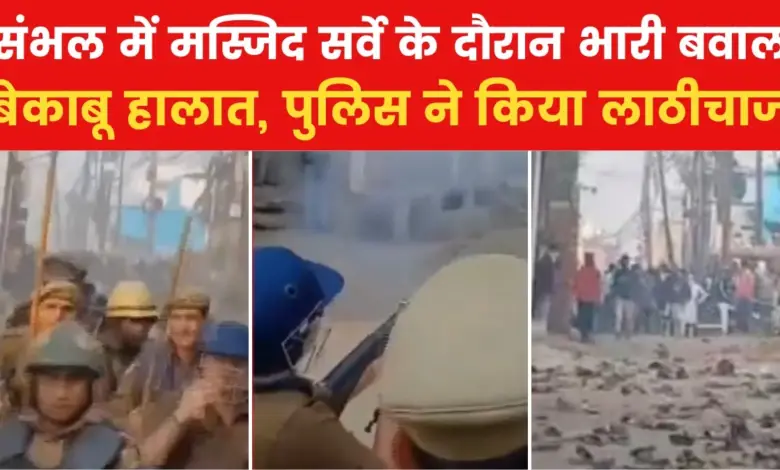 UP News: Stone pelting again during Jama Masjid survey in Sambhal, police fired tear gas shells, see pictures of the ruckus.