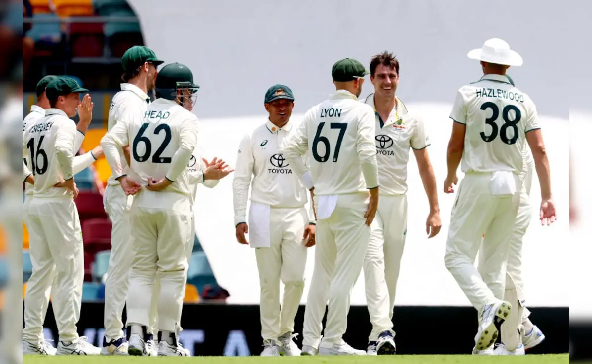 "Not Worrying About Future": Australia Great on Team's Selection Plan In Tests vs India