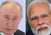 What did Putin say about setting up manufacturing plants in India?