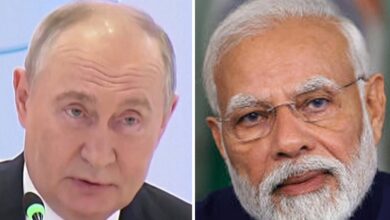 What did Putin say about setting up manufacturing plants in India?