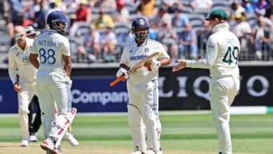 Nitish Kumar Reddy, Rishabh Pant (AP Photo/Trevor Collens)