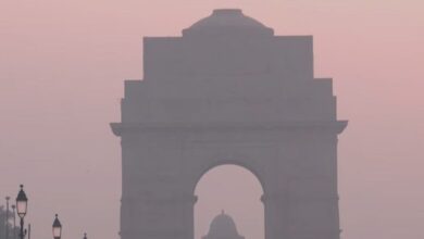 What happened in Delhi that the situation got so bad due to pollution?