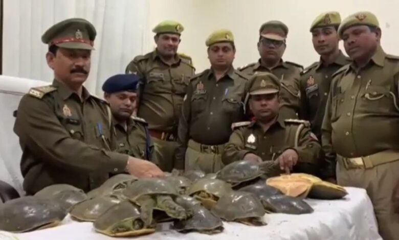 पुलिस ने बरामद किए 35 कछुए. (Photo: Aajtak)