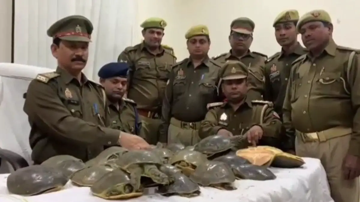 पुलिस ने बरामद किए 35 कछुए. (Photo: Aajtak)