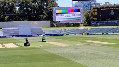 Australia's "6mm Grass Plan" To Beat India In Adelaide Test, Pitch Curator's Big Revelation