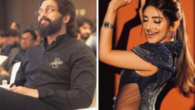 Allu Arjun and Sreeleela express gratitude as Pushpa 2 makes record-breaking numbers in theatres: Bollywood News