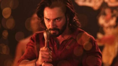 Box Office Estimates: Baby John takes decent opening; Varun Dhawan starrer collects Rs. 13 crores on Day 1 amid Pushpa 2 & Mufasa frenzy