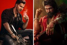 Baby John's box office clues: From weak marketing to the Pushpa 2 tsunami, trade analysts reveal why Varun Dhawan's big gamble misfired 2 : Bollywood News