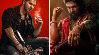 Baby John's box office clues: From weak marketing to the Pushpa 2 tsunami, trade analysts reveal why Varun Dhawan's big gamble misfired 2 : Bollywood News