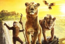 Box Office Estimate: Mufasa: The Lion King opens well in India; collects Rs. 9.25 crores on Day 1 :Bollywood Box Office