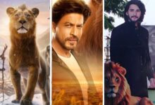 Mufasa: The Lion King sells 35,000 tickets in PVR, Inox, Cinepolis; expected to open in double digits due to Shah Rukh Khan-Mahesh Babu factor, popularity of franchise :Bollywood Box Office