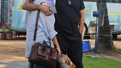 Producer Pallavi Joshi shelters 50 stray dogs on the sets of Vivek Agnihotri's The Delhi Files 50 : Bollywood News