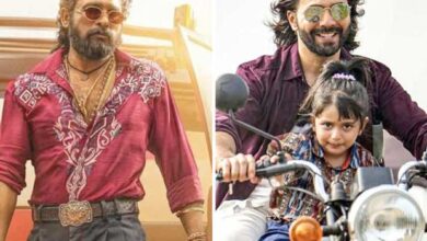 Pushpa 2: The Rule fans forced to watch Baby John at Jaipur cinema on Allu Arjun-starrer's ticket : Bollywood News