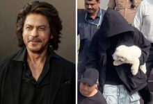 Shah Rukh Khan returns after a family vacation in Alibaug; his pet dog captures attention in viral videos : Bollywood News