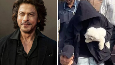 Shah Rukh Khan returns after a family vacation in Alibaug; his pet dog captures attention in viral videos : Bollywood News