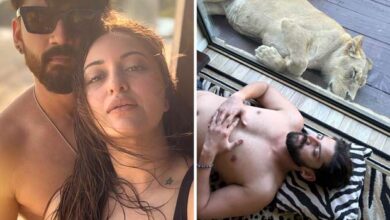 Sonakshi Sinha gets a wakeup call from a lion; Zaheer Iqbal shares video of him ordering the lion