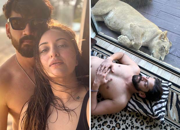 Sonakshi Sinha gets a wakeup call from a lion; Zaheer Iqbal shares video of him ordering the lion