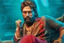 Allu Arjun to face charges over deadly stampede at Pushpa 2 premiere that killed one woman : Bollywood News