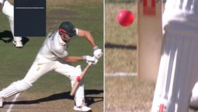 Mitchell Marsh's DRS Brain-Fade In Pink-Ball Stuns Australia Great: "All Of A Sudden..." - Watch