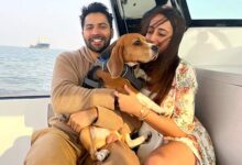 Varun Dhawan Celebrates 4th Anniversary With Natasha Dalal, Shares Heartfelt Promise and Throwback Photos 4: Bollywood News