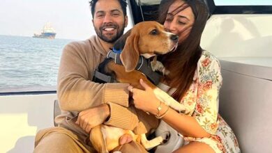 Varun Dhawan Celebrates 4th Anniversary With Natasha Dalal, Shares Heartfelt Promise and Throwback Photos 4: Bollywood News