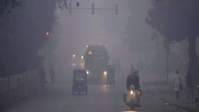 delhi fog