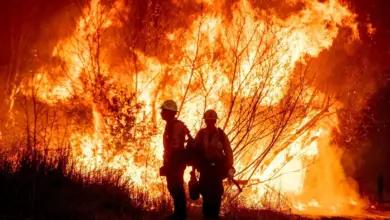 Chaos continues due to forest fire in Los Angeles, see big news of the world