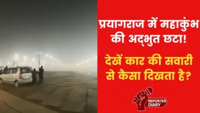 How beautiful does Mahakumbh look at night? watch video