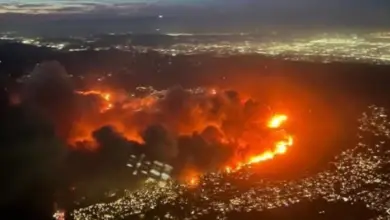 Lakhs of people had to leave their homes due to fire in the forests of Los Angeles, see big news of the world