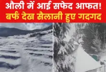 Heavy snowfall in Auli, Uttarakhand, roads and buildings covered with white sheets!