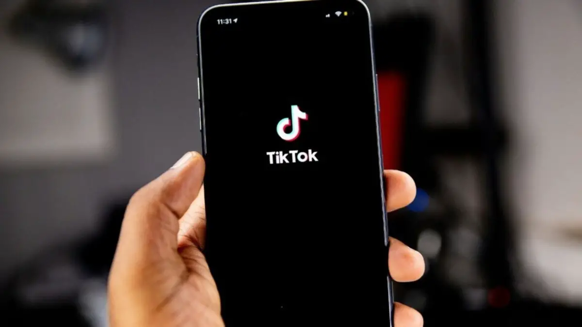 TikTok अमेरिका में ऑफलाइन.