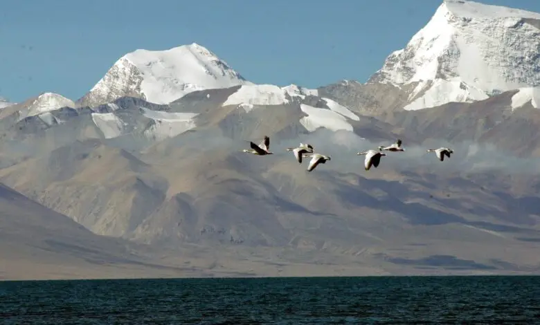 फिर शुरू होगी कैलाश मानसरोवर यात्रा