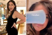 Ileana D’Cruz hints at second baby on the way in her 2024 roundup video; leaves fans in surprise