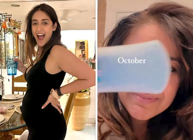 Ileana D’Cruz hints at second baby on the way in her 2024 roundup video; leaves fans in surprise