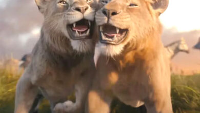 India emerges sixth highest-grossing market for Mufasa: The Lion King; SURPASSES China at the global box office :Bollywood Box Office