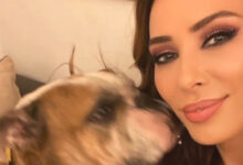 Iulia Vantur mourns loss of Salman Khan's dog Toro, shares emotional tribute : Bollywood News