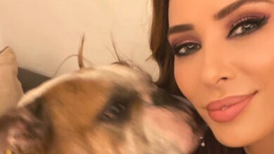 Iulia Vantur mourns loss of Salman Khan's dog Toro, shares emotional tribute : Bollywood News