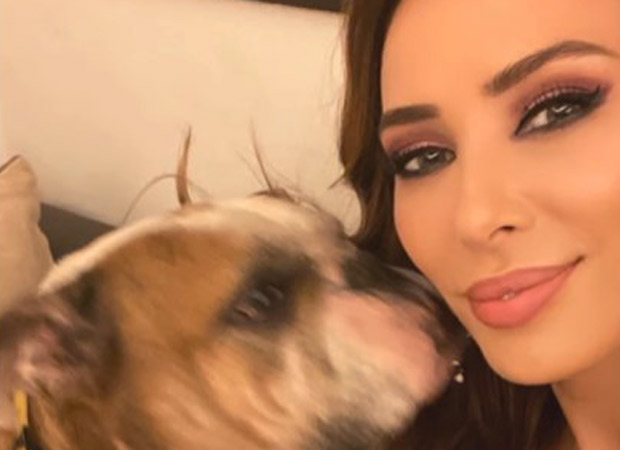 Iulia Vantur mourns loss of Salman Khan's dog Toro, shares emotional tribute : Bollywood News