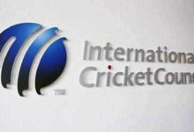 Australia Great Calls ICC 'Event Management Company' in Brutal Verdict: "Doesn'T ..."