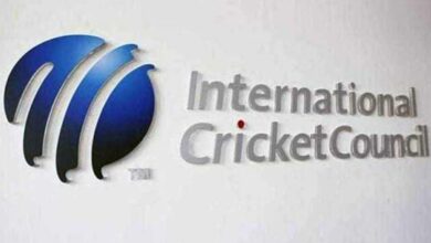 Australia Great Calls ICC 'Event Management Company' in Brutal Verdict: "Doesn'T ..."