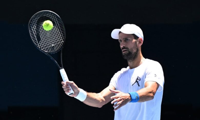 Novak Djokovic Reveals 'Energetic Disc' As New Secret Weapon