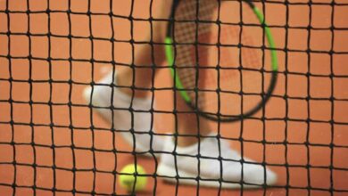 Indian Davis Cup Team Begins Preparations For Togo Tie