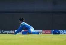 "Watch this, Haters": India Vice-Captain Shubman Gill Takes Stunning Diving Catch, Sends Internet on Fire