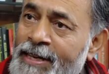 What did Yogendra Yadav say about the future of AAP?