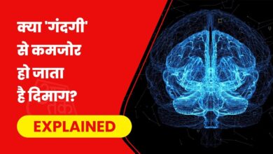 यूट्यूबर रणवीर इलाहाबादिया को फटकारते हुए SC ने दिमागी गंदगी का जिक्र किया. (Photo- Getty Images)