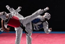 Taekwondo Corruption Scandal: Delhi High Court Set Aside Removal of Director Over 'Fixing Results'