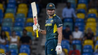 Australia Great Slams Marcus Stoinis for Shock Odie Retirement: Says "Planning ..."